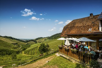 Vineyards and mountain inn, Hummelswälder Hof, Durbach, Ortenau, Black Forest, Baden-Württemberg,