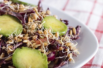 Vegetarian salad of purple cabbage, germinated wheat, tomatoes and avocado on linen tablecloth,