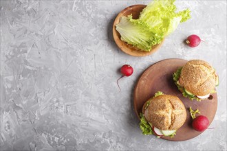 Sandwiches with cheese, radish, lettuce and cucumber on wooden board on a gray concrete background.