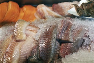 Close-up of a fish counter