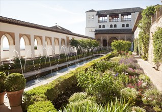 Patio de la Acequia, Court of the water Channel, Generalife palace gardens, Alhambra, Granada,