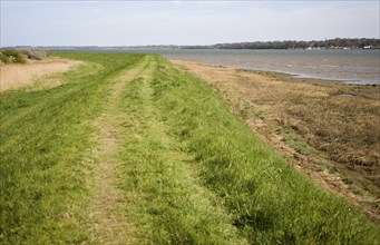 Flood defence barrier wall of River Stour at Brantham, Suffolk, England, United Kingdom, Europe