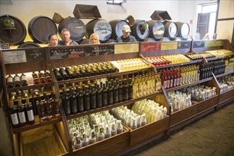 Bodega La Geria vineyard tourist attraction for sampling and buying wine, Lanzarote, Canary