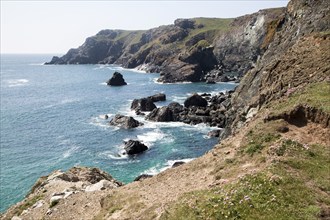 Coastal scenery, Kynance Cliff and Nantivet Rock stack, Lizard peninsula, Cornwall, England, UK