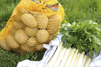 Asparagus and potatoes decorated in grass