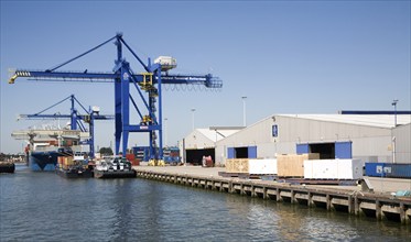 Cranes and warehouses quayside of container terminal, Port of Rotterdam, Netherlands