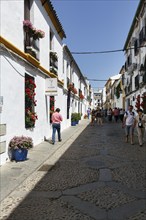 Pedestrians, tourists walking through narrow alley, old town of Cordoba, Cordoba, Andalusia, Spain,