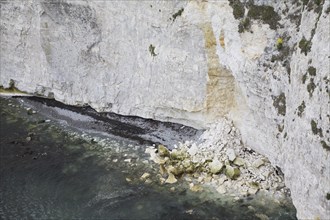 Old Harry chalk cliffs and stacks, Dorset, England, United Kingdom, Europe