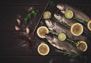 Raw rainbow trout, with lemon and herbs, on a wooden table, no people