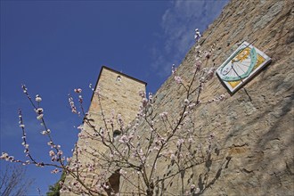 White tower with historic town fortifications, town wall and sundial in spring, blooming,