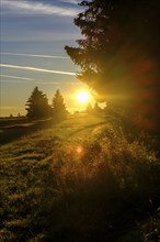 Am Heidelstein, Schwabenhimmel, UNESCO Biosphere Reserve, near Hausen, Rhön, Bavarian Rhön, Rhön,