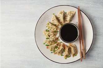 Japanese Gyoza dumplings, fried, with sauce, top view, without people, tinted, selective focus