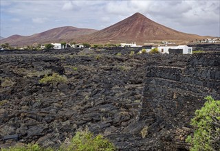 Volcanic landscape, Fundación César Manrique, César Manrique Foundation, Tahíche, Lanzarote, Canary