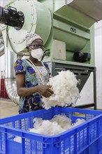 BENIN TEXTILE CORPORATION BENIN, Processing of cotton in a spinning mill factory near Cotonou in