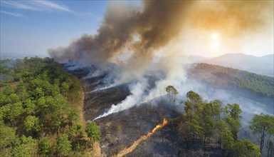 Fire, forest fire, dry forest burning, aerial view, AI generated, AI generated