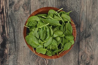 A wooden bowl with vibrant, fresh and crisp spinach leaves on a rustic wooden table, ideal for