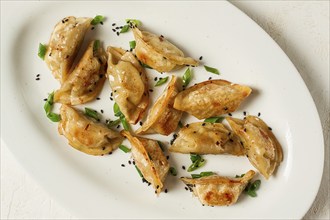 Japanese fried gyoza dumplings, with pork, sesame seeds, green onions