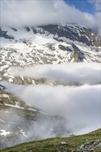 Two sheep on a mountain meadow in front of a mountain landscape, high fog in the valley, behind