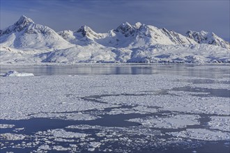 Fjord with ice floes in front of steep snowy mountains, winter, Tasiilaq, East Greenland,