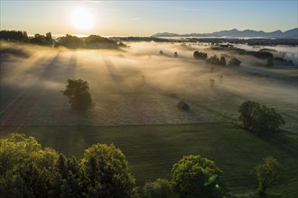 Aerial view of meadows and trees in front of mountains in backlight, sunrise, fog, autumn, Murnau,