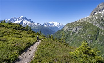 Mountaineer on hiking trail, mountain panorama with glaciated mountain peaks, Aiguille Verte with