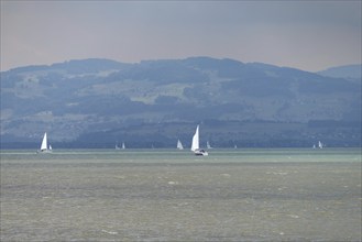 Sailing boats on the turquoise waters of Lake Constance, near Meersburg, Baden-Württemberg,