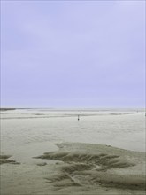 Low tide, mudflats, Dollart, Nieuwe Statenzijl, Netherlands