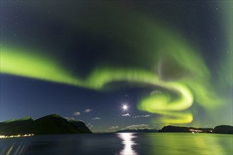 Northern Lights, (Aurora borealis) at a fjord near Skjiervoya, September 2024, Lapland, Finnmark,