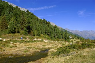 Staller Almbach, Staller Sattel, Defereggen Valley, East Tyrol, Austria, Europe