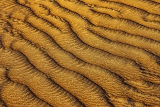 Wind-sculpted sand structure in the Rub al Khali desert, Dhofar province, Arabian Peninsula,