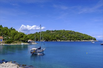 Beach, Plaža Valdarke Bay, Mali Losinj, Losinj Island, Kvarner Gulf Bay, Croatia, Europe