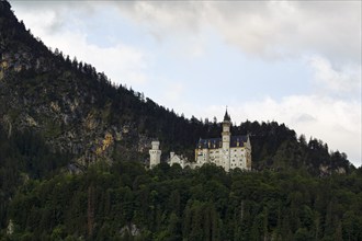 Neuschwanstein Castle, evening light, Schwangau, Ostallgäu, Allgäu, Swabia, Upper Bavaria, Bavaria,