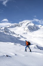 Ski tourers in a snow-covered mountain landscape, mountain peak Monte Cevedale and glacier