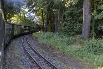 A train curves through a wooded area, sunlight breaks through the leaves, Rügen, Rasender Roland