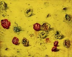 Self-fertilisation, Autofertile, 2010, mixed media on canvas, exhibition Miquel Barcelo, Vida y