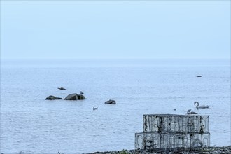 Stacks of wire baskets on the beach at Södra Udde, the southern tip of the island of Öland, Kalmar