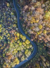 Winding country road through a forest with autumn-coloured trees, Swabian Alb in autumn. Aerial