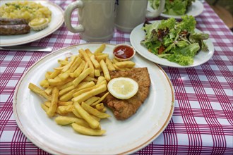 Schnitzel Wierner style with French fries and salad plate served in a garden restaurant, Franconia,