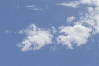 Cumulus white clouds in a blue sky, England, United Kingdom, Europe