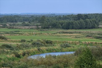 The Biebrza Valley in the Biebrza National Park in northern Poland. Burzyn, Podlaskie, Poland,