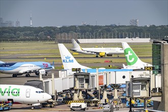 Amsterdam Schiphol Airport, aeroplanes on the taxiway, at the terminal, Gate D, check-in, apron,