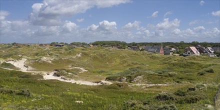 Dunes and buildings, Norderney, East Frisian Island, East Frisia, Lower Saxony, Germany, Europe