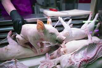 Whole piglet for sale at the Mercado Central, Salamanca, province of Salamanca, Castile and Leon,