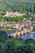 View of the Neckar River Castle and Old Bridge in Heidelberg, Germany, Europe