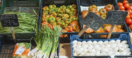 Fresh vegetables at a market with tomatoes, spring onions, green beans and price tags, San