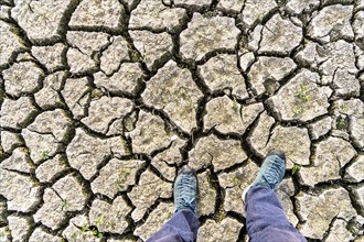 Dry ground, cracked, dried-up riverbed, in a branch of the Rhine, near Duisburg