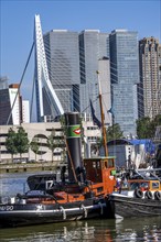 The Maritime Museum, outdoor area in the Leuvehaven, in Rotterdam, many old ships, boats, exhibits