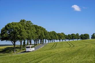 Country road between Hirschberg and Warstein, local bus, public transport, bus transport,