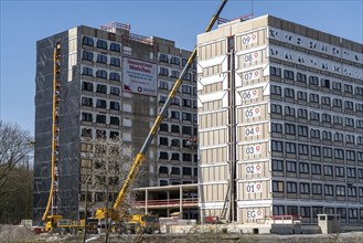 Construction site of the Community Campus, 737 student flats, each 20 square metres in size, fully