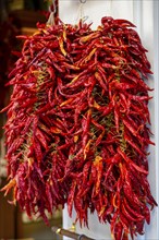 Dried chilli peppers in the old town of Palma de Majorca, Majorca, Spain, Europe